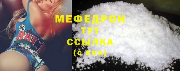стаф Богданович