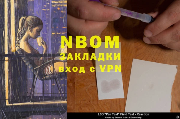 PSILOCYBIN Бронницы