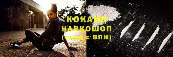 стаф Богданович