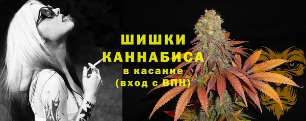 PSILOCYBIN Бронницы