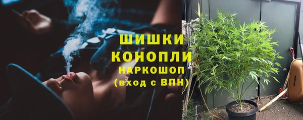 PSILOCYBIN Бронницы