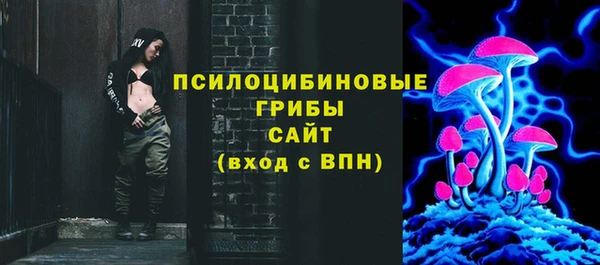 винт Бородино