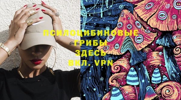 PSILOCYBIN Бронницы
